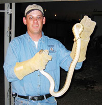 Snake Removal